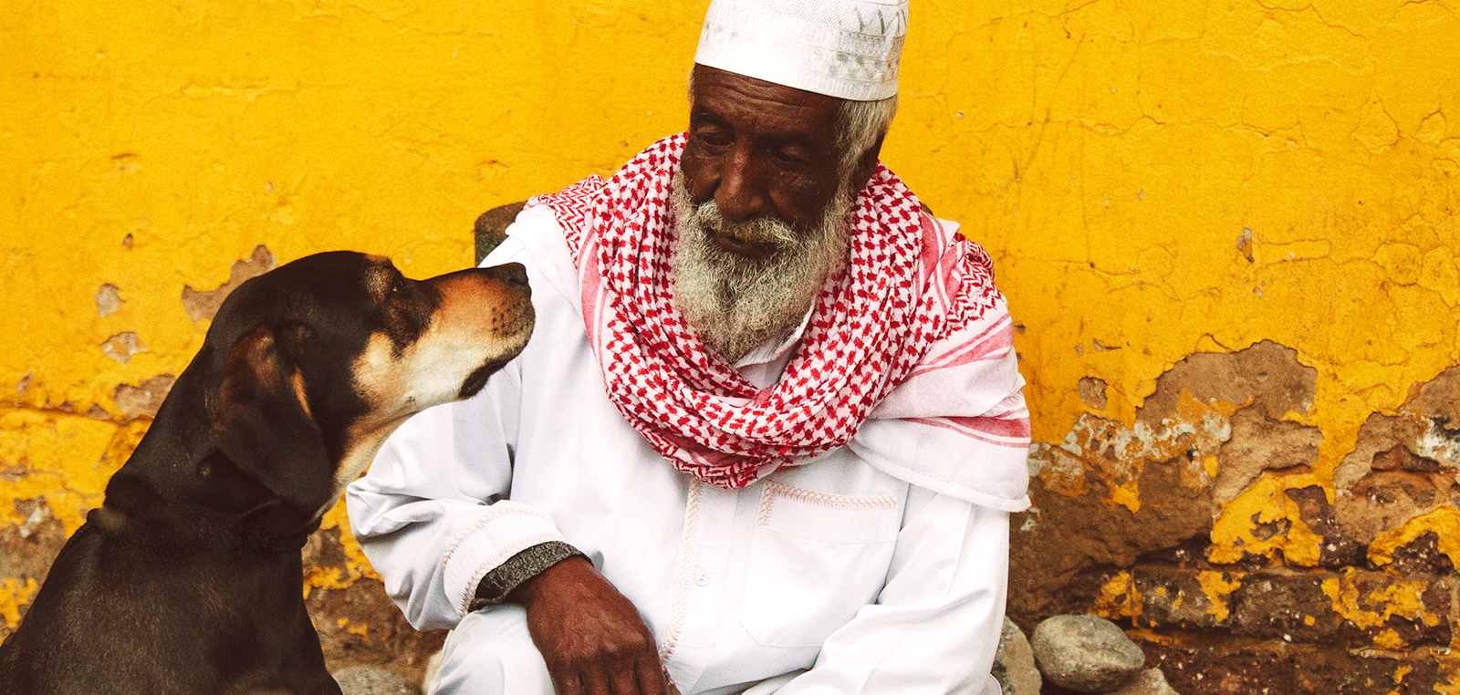 Un chien regarde un homme âgé